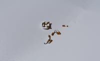 Image 1 of miniature ashtray with 5 burned cigarette butts 1:12 scale