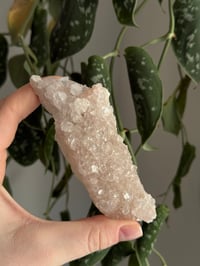 Image 1 of Pink Apophyllite