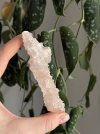Image 2 of Pink Apophyllite