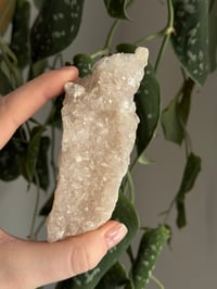 Image 3 of Pink Apophyllite