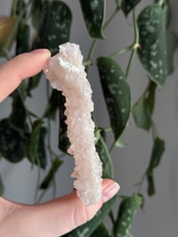 Image 4 of Pink Apophyllite