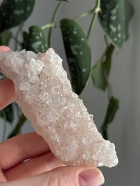 Image 5 of Pink Apophyllite