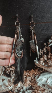 Image 2 of Quill and feathers 