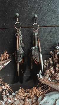 Image 5 of Quill and feathers 