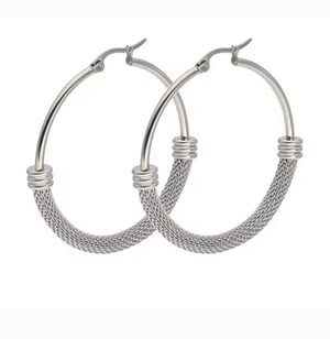 Image of Luxe Hoop Earrings 