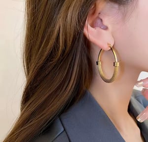 Image of Luxe Hoop Earrings 