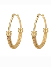Image 1 of Luxe Hoop Earrings 