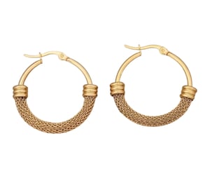Image of Luxe Hoop Earrings 
