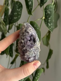 Image 2 of Grape Agate Egg