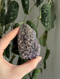 Image 1 of Grape Agate Egg
