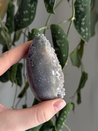 Image 3 of Grape Agate Egg