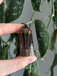 Image 1 of Smoky Quartz #2