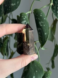 Image 2 of Smoky Quartz #2