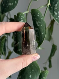 Image 3 of Smoky Quartz #2