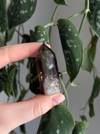 Image 4 of Smoky Quartz #2
