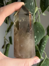 Image 1 of Smoky Quartz #1
