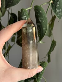 Image 4 of Smoky Quartz #1