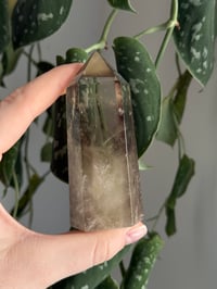 Image 2 of Smoky Quartz #1