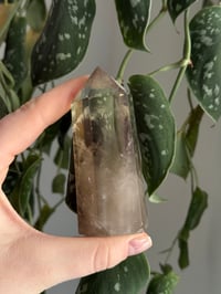 Image 5 of Smoky Quartz #1
