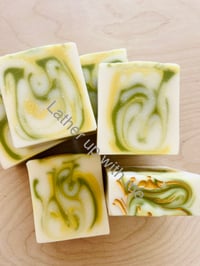 Bergamot Tarragon Leaves