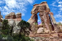 Druid Arch (0023)