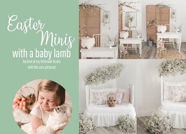 Image of EASTER MINIS with a baby lamb *new spots*