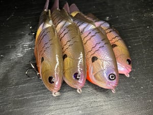 Image of 6” Ann Xslowsink (Prespawn Killer)
