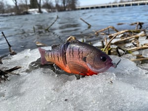 Image of 6” Ann Xslowsink (Prespawn Killer)