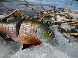 Image of 6” Ann Xslowsink (Spring Gill)