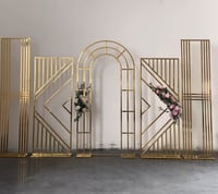Backdrop set gold stainless steel frames 