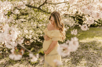 Image 1 of SPRING MINIS - Limited