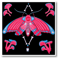 Image 4 of Moth Art Prints