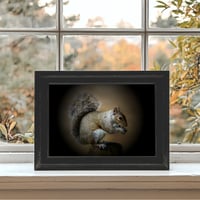 Image 2 of The Majestic Squirrel exclusive print