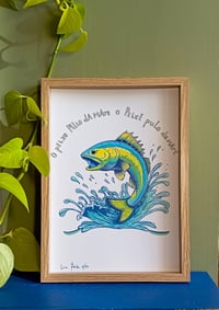 Image 4 of Peixe Pulo da Mare