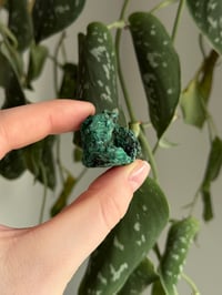 Image 4 of Raw Malachite