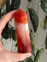 Image 2 of Carnelian Tower
