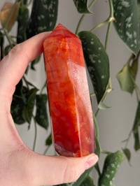Image 3 of Carnelian Tower