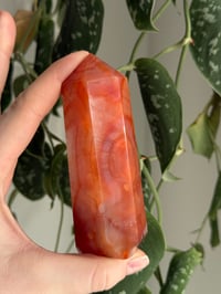 Image 4 of Carnelian Tower