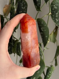 Image 1 of Carnelian Tower