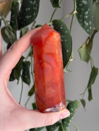 Image 5 of Carnelian Tower