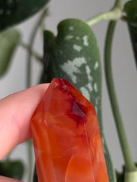 Image 5 of Small Carnelian Tower