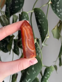 Image 4 of Small Carnelian Tower