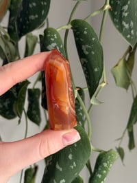 Image 3 of Small Carnelian Tower