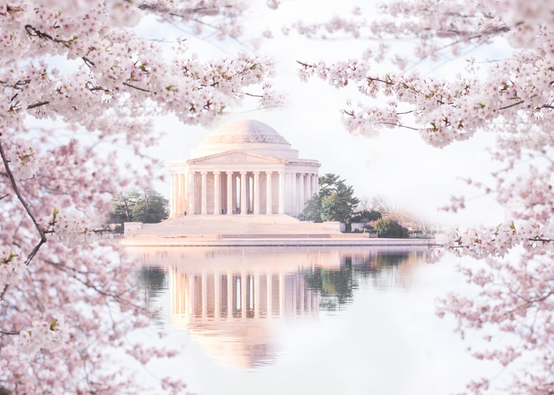 Image of Cherry Blossom Mini Sessions - Jefferson Memorial - Tidal-Basin, Washington, DC - March 27th, 2025