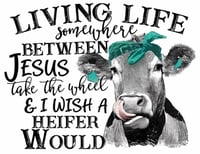 Image 22 of Funny animal graphics 2