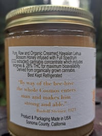 Image 2 of Extra Strength CBD Honey