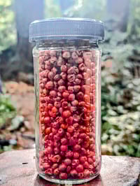 Pink Peppercorn 