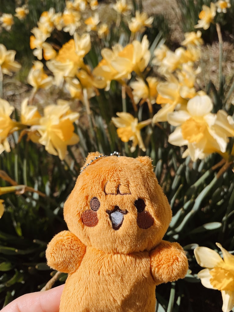 Hongnugget (original)[PREORDER] Image 2