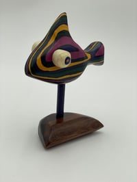 Image 1 of Multi-Color Gold Fish 