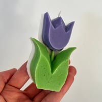 Image 4 of Tulip Candle - Lavender 
